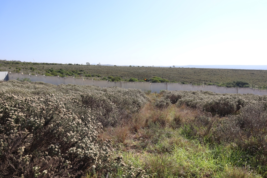 0 Bedroom Property for Sale in Blue Waters Estate Eastern Cape